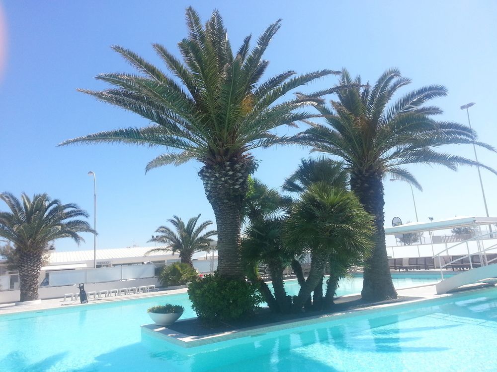 Hotel Metropol Σενιγκάλια Εξωτερικό φωτογραφία